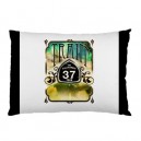 Train - Pillow Case