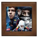 Sebastian Vettel - Framed Tile
