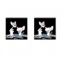 Pinky And The Brain - Cufflinks (Square)