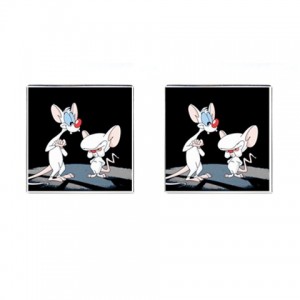 http://www.starsonstuff.com/15867-thickbox/pinky-and-the-brain-cufflinks-square.jpg