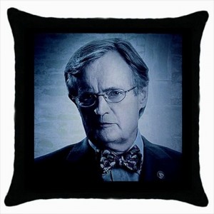 http://www.starsonstuff.com/17799-thickbox/ncis-ducky-cushion-cover.jpg