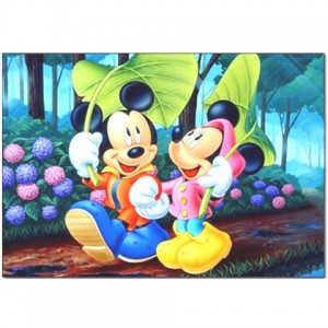 http://www.starsonstuff.com/1861-2288-thickbox/disney-mickey-and-minnie-mouse-pillow-case.jpg