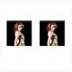 Kylie Minogue - Cufflinks (Square)