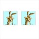 Looney Tunes Wile E Coyote - Cufflinks (Square)