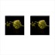 Star Wars Master Yoda - Cufflinks (Square)