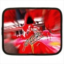 Michael Schumacher - 13" Netbook/Laptop case
