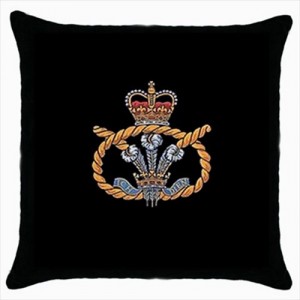 http://www.starsonstuff.com/20748-thickbox/staffordshire-regiment-cushion-cover.jpg