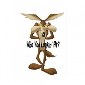 http://www.starsonstuff.com/2169-2597-thickbox/wile-e-coyote-rectangular-13-in-1-memory-card-reader.jpg