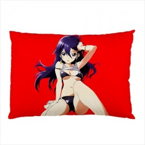 http://www.starsonstuff.com/22992-thickbox/anime-manga-girl-pillow-case.jpg