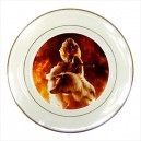 Lady Gaga La Chameleon - Porcelain Plate