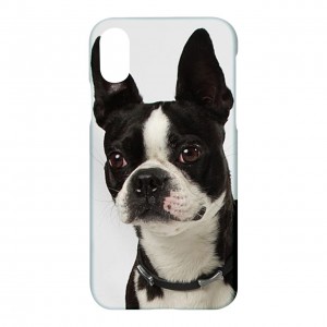 http://www.starsonstuff.com/26741-thickbox/boston-terrier-apple-iphone-x-case.jpg