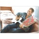 Michael Bolton Signature - Pillow Case