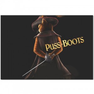 http://www.starsonstuff.com/2774-thickbox/puss-in-boots-pillow-case.jpg