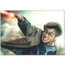 Harry Potter - Pillow Case
