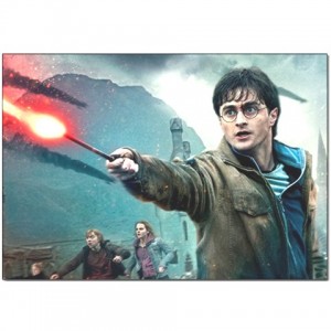 http://www.starsonstuff.com/2778-thickbox/harry-potter-pillow-case.jpg