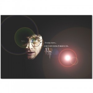 http://www.starsonstuff.com/2779-thickbox/harry-potter-pillow-case.jpg