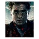 Harry Potter - 110 Piece Jigsaw Puzzle