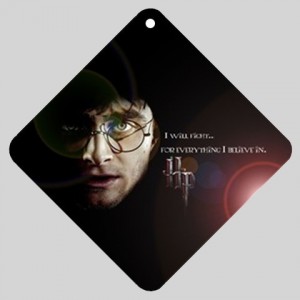 http://www.starsonstuff.com/2854-thickbox/harry-potter-car-window-sign.jpg