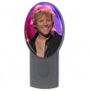 Bon Jovi -  USB Flash Drive Oval (4 GB)