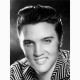 Elvis Presley 12x16 - Canvas Print
