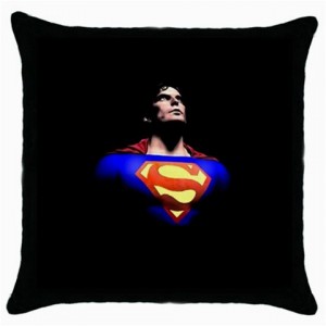 http://www.starsonstuff.com/6485-thickbox/superman-cushion-cover.jpg