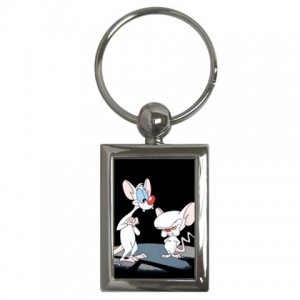 http://www.starsonstuff.com/6572-thickbox/pinky-and-the-brain-rectangle-keyring.jpg