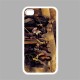 Aerosmith - Apple iPhone 4/4s/iOS 5 Case