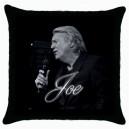 Joe Longthorne Cushion Cover