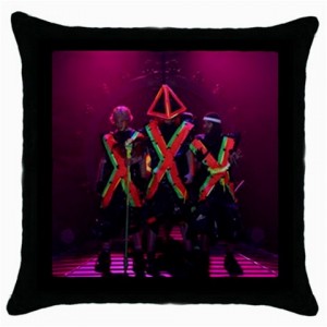 http://www.starsonstuff.com/8226-thickbox/deichkind-cushion-cover.jpg