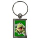 The Muppets Kermit The Frog - Rectangle Keyring