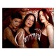 Charmed - 110 Piece Jigsaw Puzzle